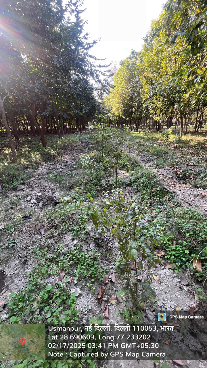Compensatory Afforestation